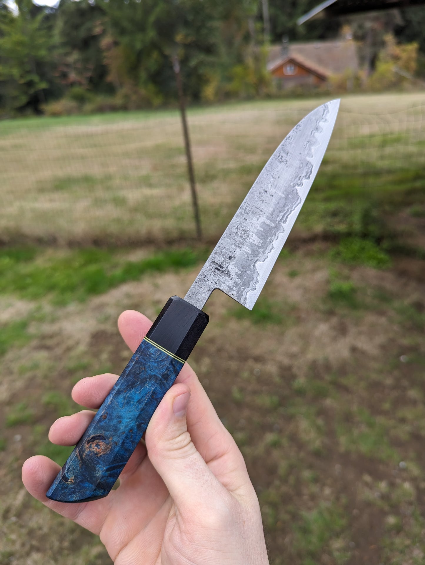 Petty Knife (5.3") - Wrought Iron San Mai w/ Maple Burl