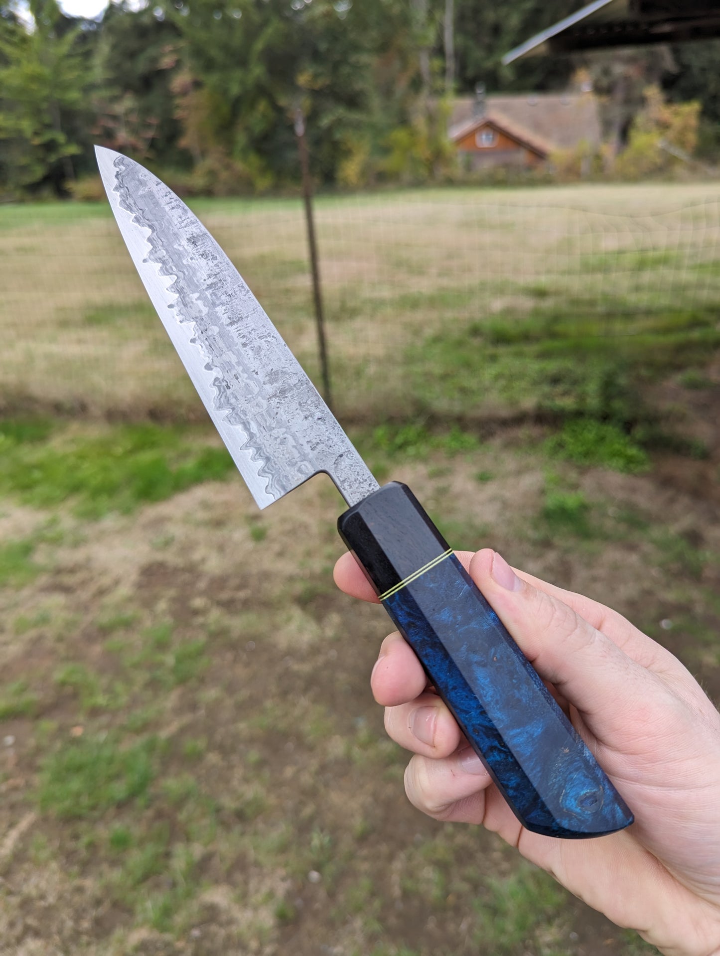 Petty Knife (5.3") - Wrought Iron San Mai w/ Maple Burl